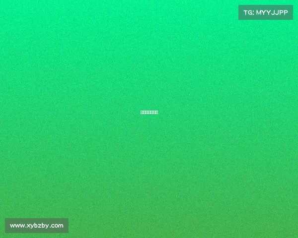 世界怀决赛视频